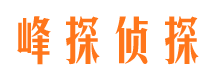 陕县市婚姻调查